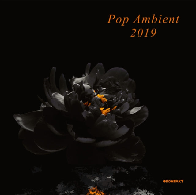 VARIOUS ARTISTS | POP AMBIENT 2019 | VINYL RECORD (LP)