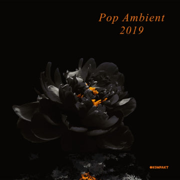 VARIOUS ARTISTS | POP AMBIENT 2019 | VINYL RECORD (LP)