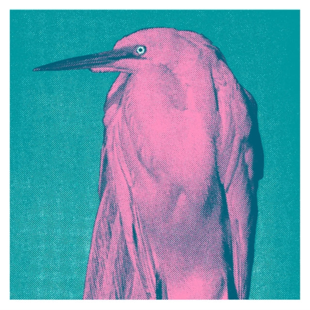 JOANNES | GOT NEEDS | 12IN VINYL