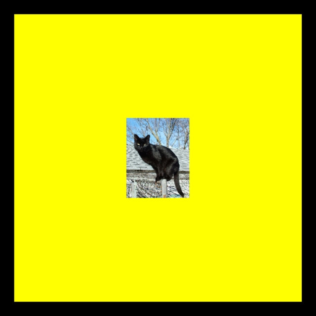 PITTO | PANTHERS ON THE ROOF | 12IN VINYL