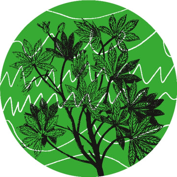 AUNTIE FLO | BRASIL NOVAS FREQUENCIAS | 12IN VINYL