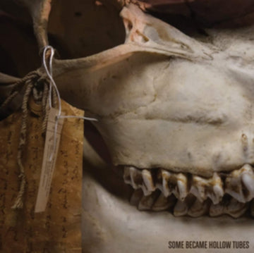 SOME BECAME HOLLOW TUBES | KEEP IT IN THE GROUND | VINYL RECORD (LP)