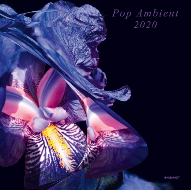VARIOUS ARTISTS | POP AMBIENT 2020 | VINYL RECORD (LP)