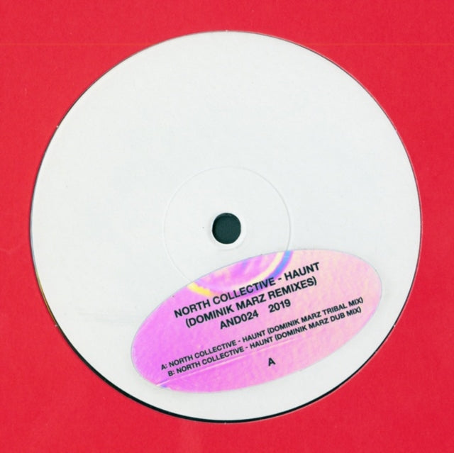 NORTH COLLECTIVE | HAUNT (DOMINIK MARZ REMIXES) | 12IN VINYL