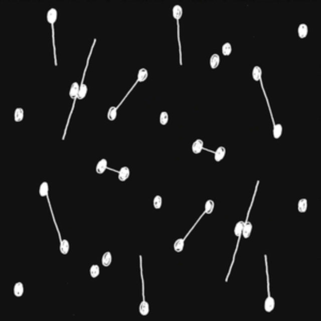ARIL BRIKHA | DANCE OF A TRILLION STARS | VINYL RECORD (LP)