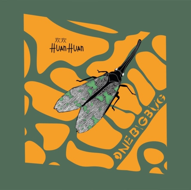HUAN HUAN | ONE BIG BUG | 12IN VINYL
