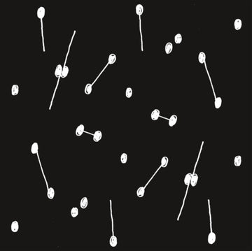 BRIKHA, ARIL | DANCE OF A TRILLION STARS | VINYL RECORD (LP)