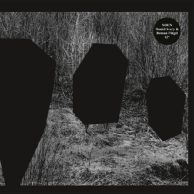 NOUN (DANIEL AVERY & ROMAN FLUGEL) | MEETING OF THE MINDS | 12IN VINYL