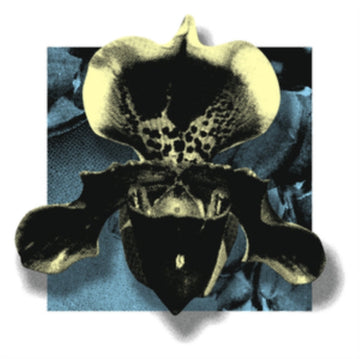 VARIOUS ARTISTS | NOWHERE02 | 12IN VINYL
