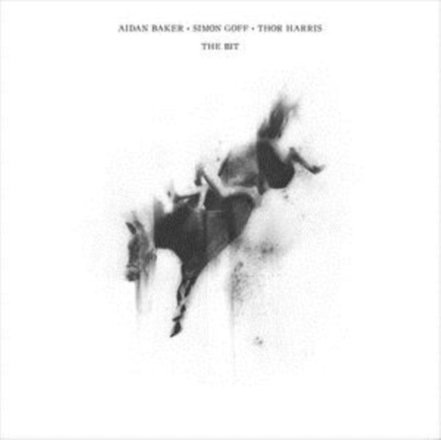 BAKER, AIDAN; SIMON GOFF; THOR HARRIS | BIT | VINYL RECORD (LP)