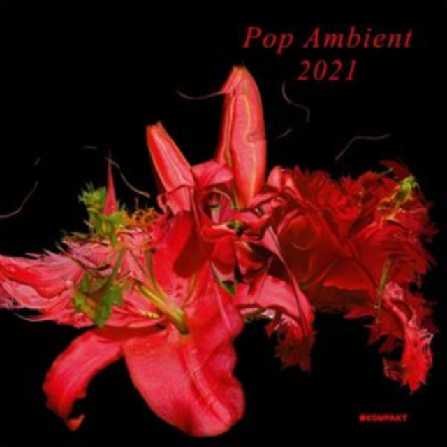 VARIOUS ARTISTS | POP AMBIENT 2021 | VINYL RECORD (LP)