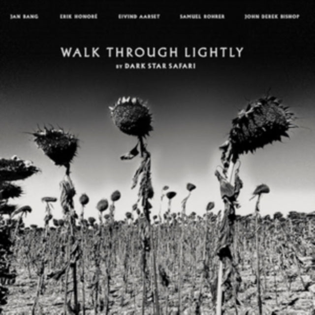 DARK STAR SAFARI | WALK THROUGH LIGHTLY | VINYL RECORD (LP)