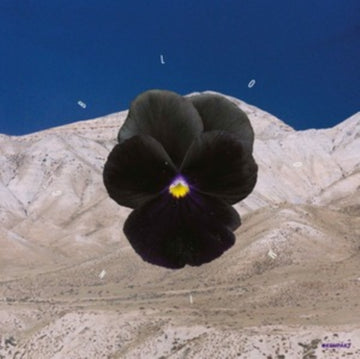 BLOOMING | VINYL RECORD (LP)