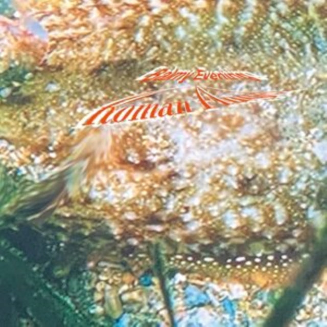 FLUGEL, ROMAN | BALMY EVENING | VINYL RECORD (LP)