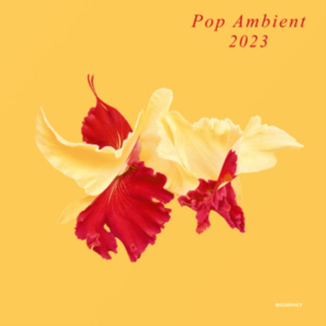 VARIOUS ARTISTS | POP AMBIENT 2023 | VINYL RECORD (LP)