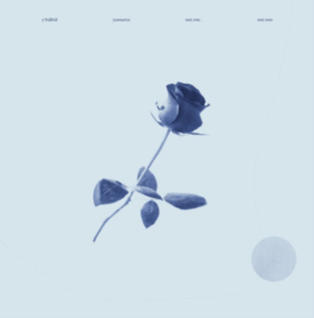 Y BULBUL/YUMURTA | NOT ONE, NOT TWO | VINYL RECORD (LP)