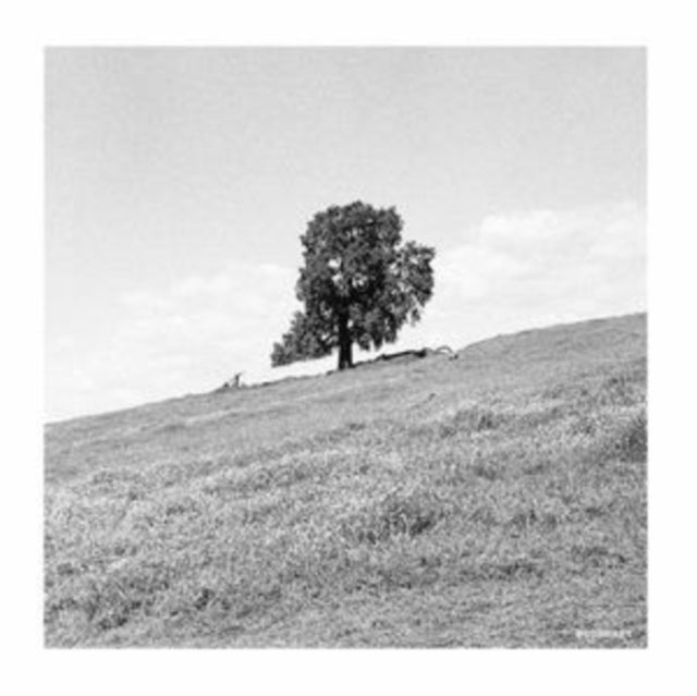 BLANK GLOSS | CORNERED | VINYL RECORD (LP)