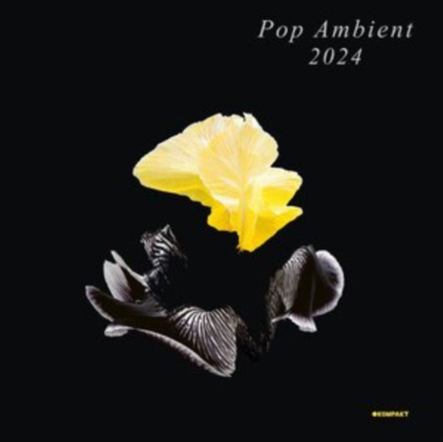 VARIOUS ARTISTS | POP AMBIENT 2024 | VINYL RECORD (LP)