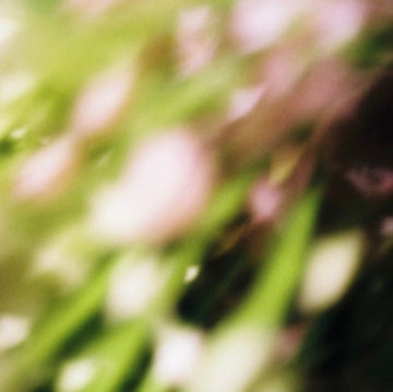 COELN FLOWERZ | 12IN VINYL