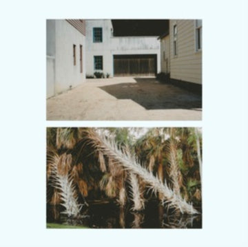 VESTIGE | VINYL RECORD (LP)