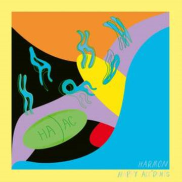 HAPPY ACCIDENTS | 12IN VINYL