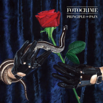 PRINCIPE OF PAIN (IMPORT) | VINYL RECORD (LP)