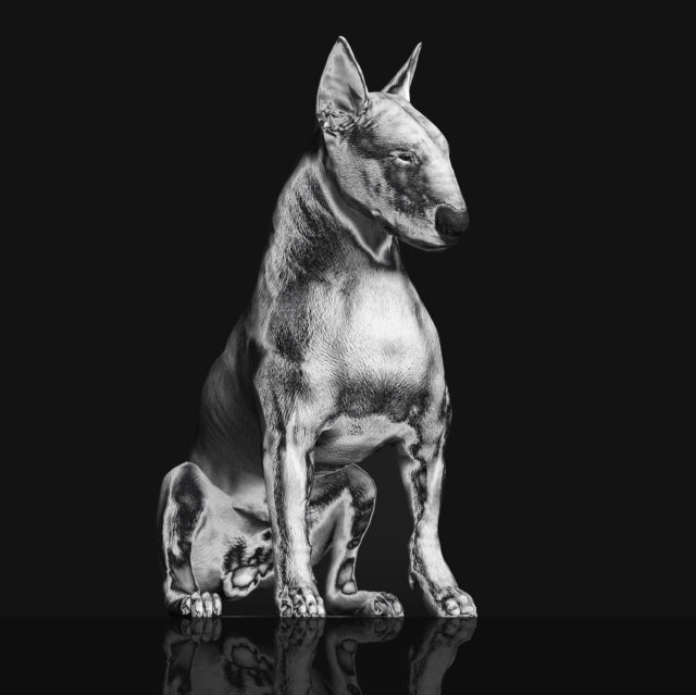 RISKEE & THE RIDICULE | PLATINUM STATUE (CLEAR MARBLED VINYL) | VINYL RECORD (LP)