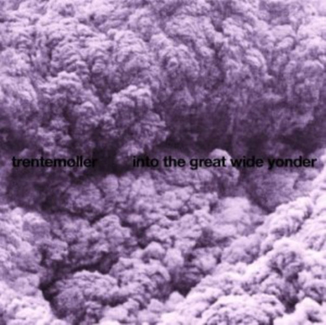 TRENTEMOLLER | INTO THE GREAT WIDE YONDER | VINYL RECORD (LP)