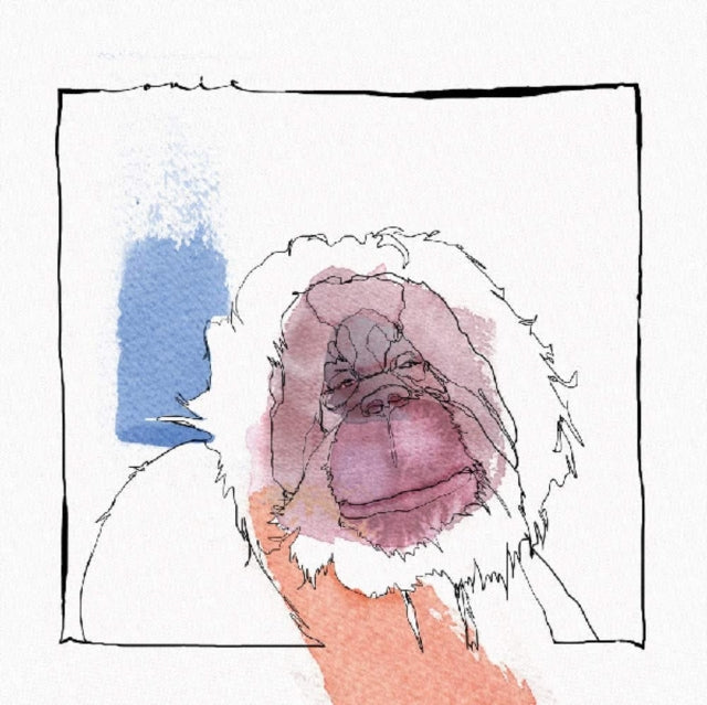ACID PAULI | HAD TO GET RID OF SOME SHIT | 12IN VINYL