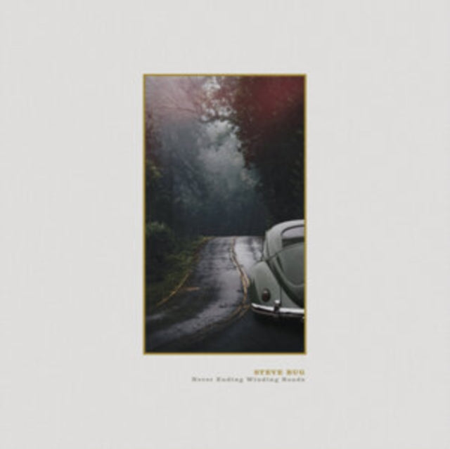 BUG, STEVE | NEVER ENDING WINDING ROADS | VINYL RECORD (LP)