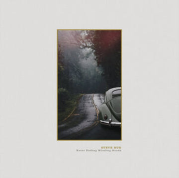 BUG, STEVE | NEVER ENDING WINDING ROADS | VINYL RECORD (LP)
