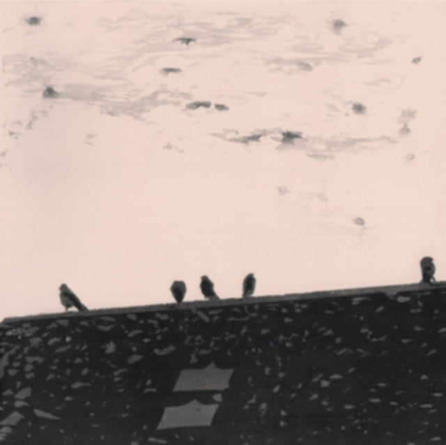 STAPLES, STUART A. | ARRHYTHMIA (DL CODE) | VINYL RECORD (LP)