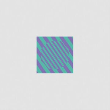 NEVER COME BACK (FOUR TET & MORGAN GEIST REMIXES) | VINYL RECORD (LP)