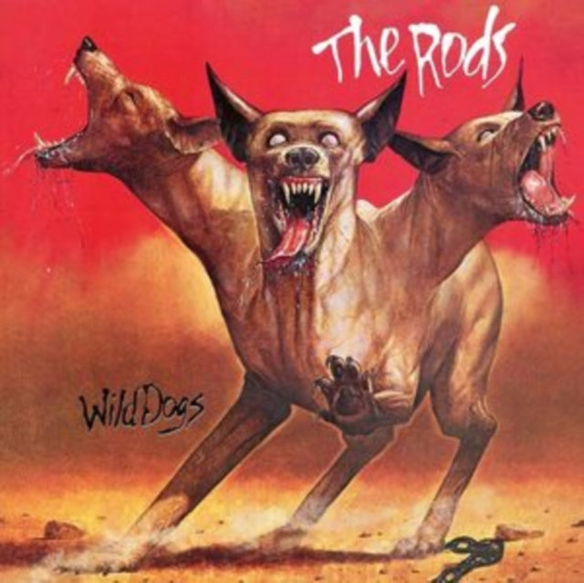 RODS | WILD DOGS (FIRE SPLATTER VINYL) | VINYL RECORD (LP)