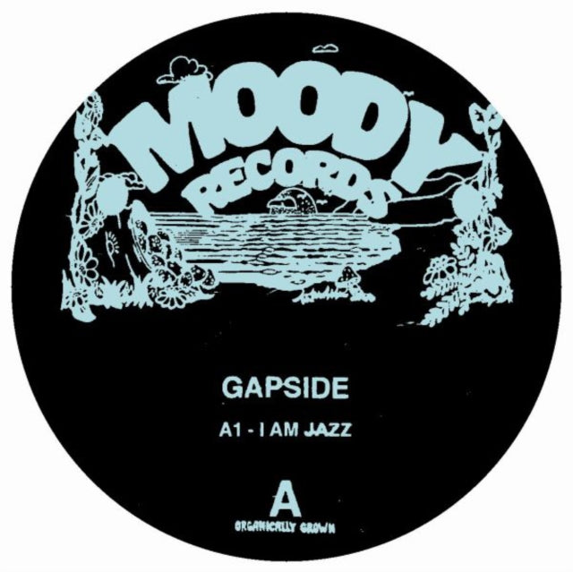 GAPSIDE/ENCUENTROS | GAPSIDE/ENCUENTROS | 12IN VINYL