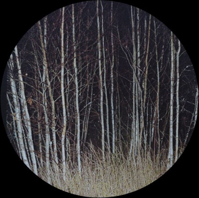 LIEM & EDDIE NESS | WHERE IS THE SHREDMASTER | 12IN VINYL