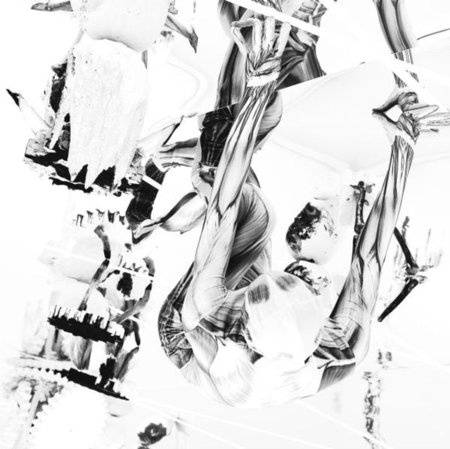 BELP | CROCODILE | VINYL RECORD (LP)