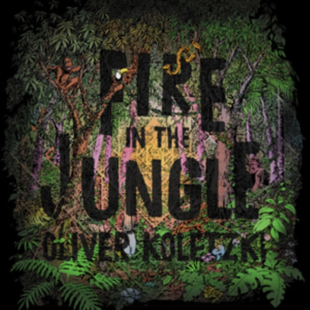 KOLETZKI, OLIVER | FIRE IN THE JUNGLE | VINYL RECORD (LP)