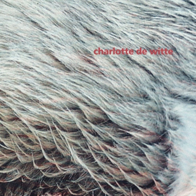 DE WITTE, CHARLOTTE | VISION EP | 12IN VINYL