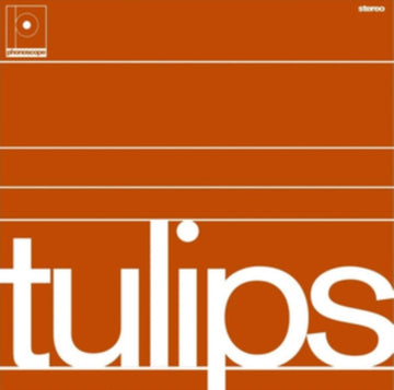 MASTON | TULIPS | VINYL RECORD (LP)