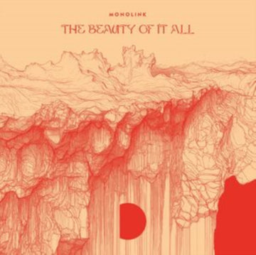 BEAUTY OF IT ALL (2LP/180G) | VINYL RECORD (LP)