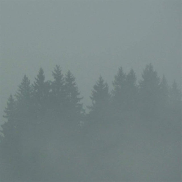 LODERBAUER, MAX | DONNERWETTER | VINYL RECORD (LP)