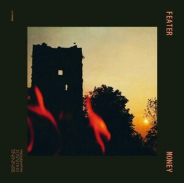 FEATER | MONEY | VINYL RECORD (LP)