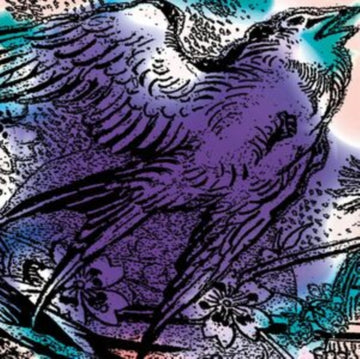 ONE SWALLOW DOESNT MAKE A SUM | 12IN VINYL