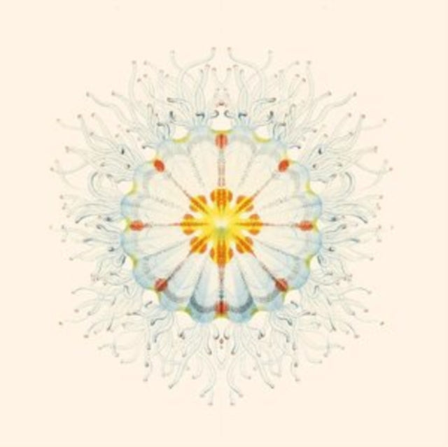 CHARLIE CHARLIE | LITTE THINGS | VINYL RECORD (LP)