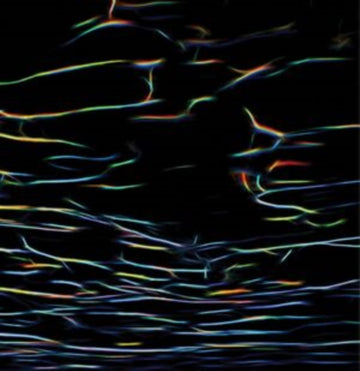 PORTER RICKS | BIOKINETICS | VINYL RECORD (LP)