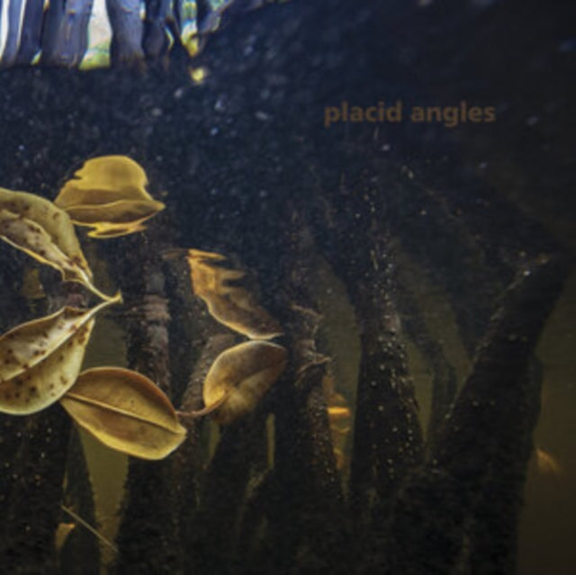 PLACID ANGLES | TOUCH THE EARTH | 12IN VINYL