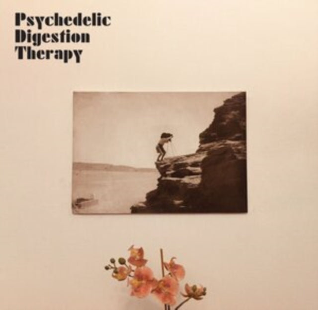 PSYCHEDELIC DIGESTION THERAPY | PSYCHEDELIC DIGESTION THERAPY | VINYL RECORD (LP)