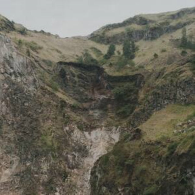 STROMSTEDT, ADAM | ESCALATOR MUSIC (2LP) | VINYL RECORD (LP)