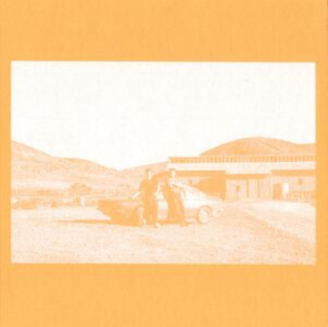 FRENZIED BRICKS | FRENZIED BRICKS | 7IN VINYL